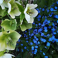 007-IMG_20210428_203535